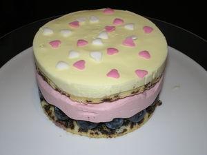 Entremets à la mousse à la framboise et mousse au citron sur lit de myrtilles P1010034