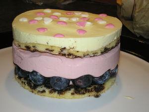 Entremets à la mousse à la framboise et mousse au citron sur lit de myrtilles P1010047