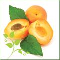 Oreillon de pêche sur compotée d'abricots au sirop de lavande