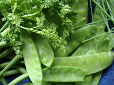 Après les gambas, la salade Après les gambas, la salade