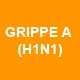 Grippe A H1N1-2.jpg