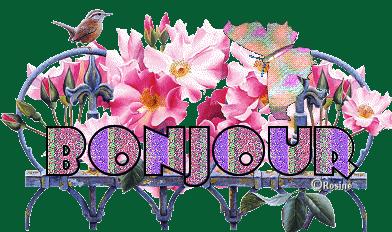 Les moustiques, un rival bien gourmand Les moustiques, un rival bien gourmand