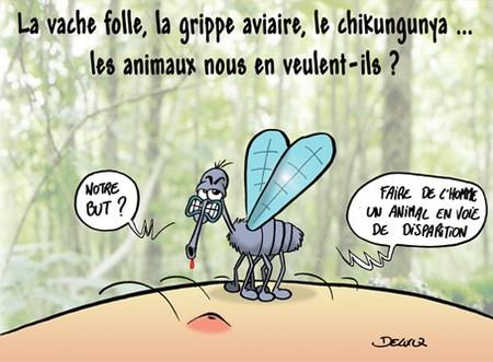 Les moustiques, un rival bien gourmand Les moustiques, un rival bien gourmand