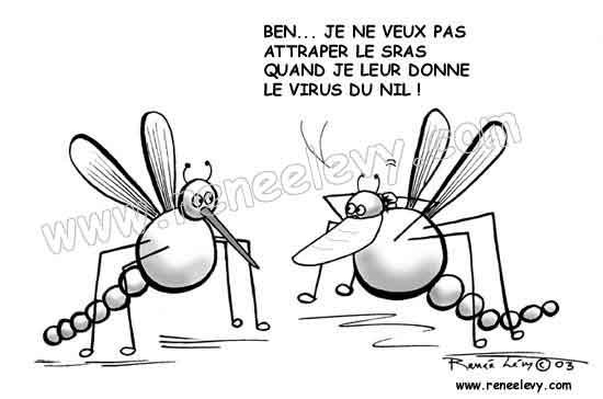 Les moustiques, un rival bien gourmand Les moustiques, un rival bien gourmand