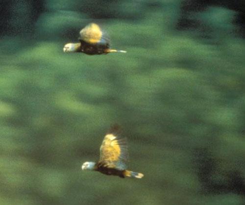 The Informations The Informations