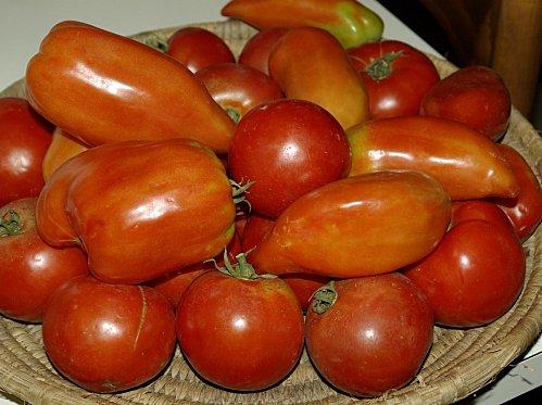 Karniyarek...ou aubergines allongées