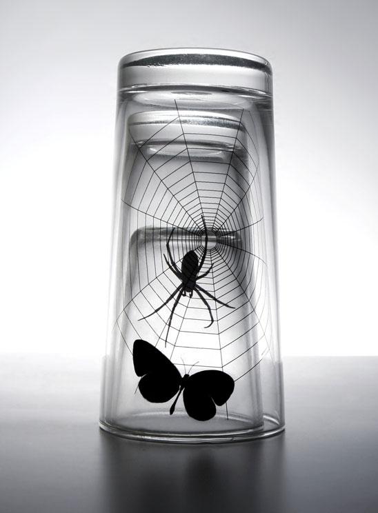 Butterfly and spider glass chez Propaganda