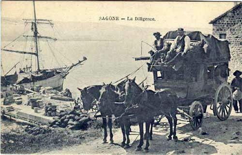 Diligence-sagone