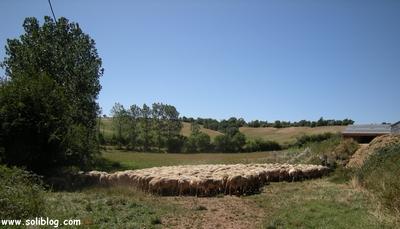 DES PHOTOS POUR NOURRIR LES LECTEURS - #3 Jolies Lacaunes sur Soliblog - Clic clic clic