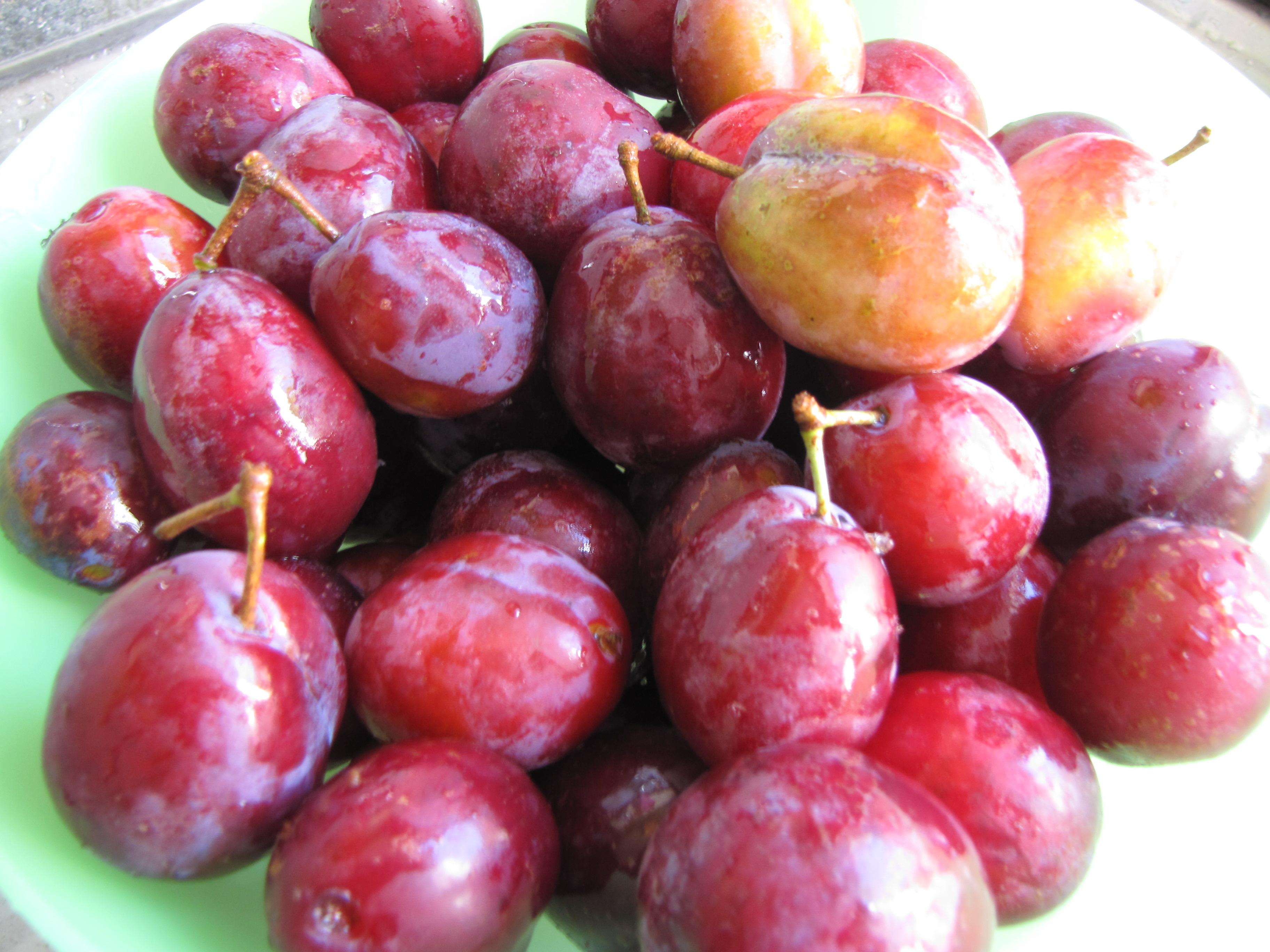 prunes à confitures