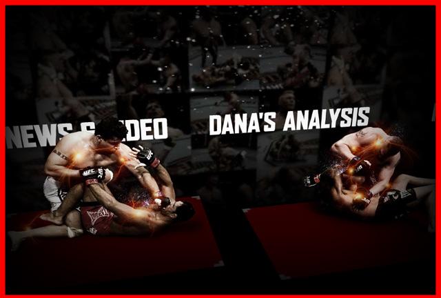 Full video free fight ! Full video free fight !