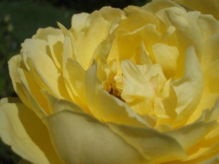 Et c'est mon tour de partir....même si je n'étais pas très présente! ao_t_2009_079