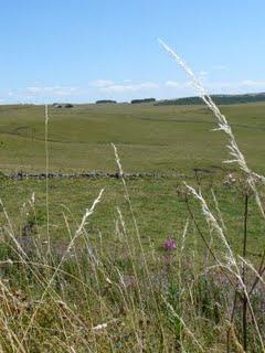 L'Aveyron, terres d'infinis L'Aveyron, terres d'infinis