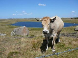 L'Aveyron, terres d'infinis L'Aveyron, terres d'infinis