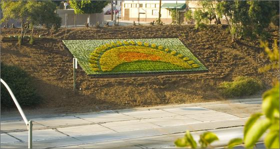 Prius-flowerscale-1 Prius-flowerscale-1