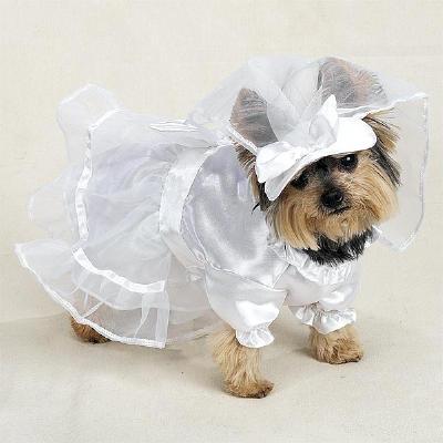 Wedding dress for dogs