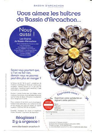 Vous aimez les huîtres du Bassin d’Arcachon ? : Faut-il signer la pétition PETITION_TEST_SOURIS