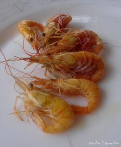°coquillage & crustacé°°° acte I° crevette_2_160809