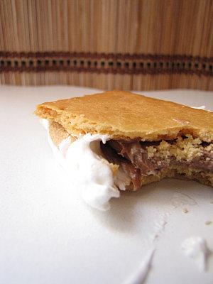 LES S'MORES (sandwich petits-beurre, chocolat, marshmallows grillés)