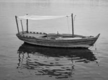 La revanche des otaries, Vincent Wackenheim