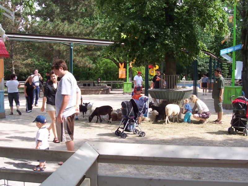 Fichier:Ferme zoo granby 2006-07.JPG