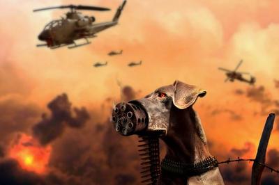 Les 500 emails des conspirateurs Hadopistes