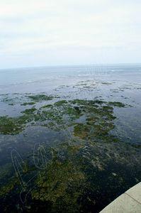 Retour en images sur le mois d'août PICT0067m