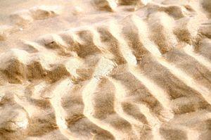 Retour en images sur le mois d'août PICT0090m