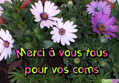 Briouates sucrees et salees pour varier votre quotidien http://i39.tinypic.com/vopyr6.gif