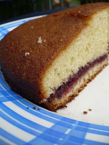 Confiture de framboises au chocolat P1040566