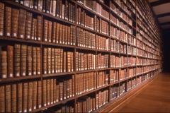 Du ménage sur les étagères bibliotheque.jpg
