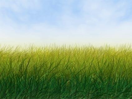 Du ménage sur les étagères l'herbe.jpg