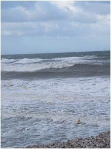 FORCE 7 ...
La nature se Déchaine et montre son caractère... DSCF1021