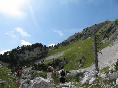 Randonnée en Chartreuse : la Grande Sure (1920m)