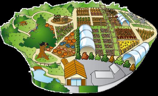 potager extraordinaire potager extraordinaire