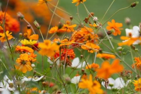 Copyright Nicolas Brulez -0738