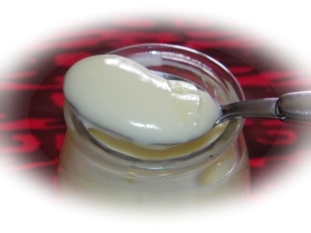 CREME DESSERT AU CHOCOLAT BLANC