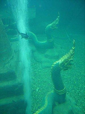 L’aquarium de Nong Khai est ouvert.