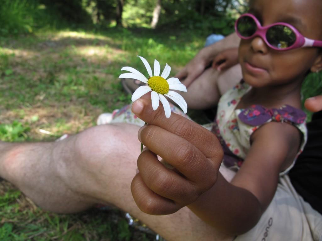 Les massacres du temps (rappel sans paroles). la-fleur-1280x768.1252147561.jpg