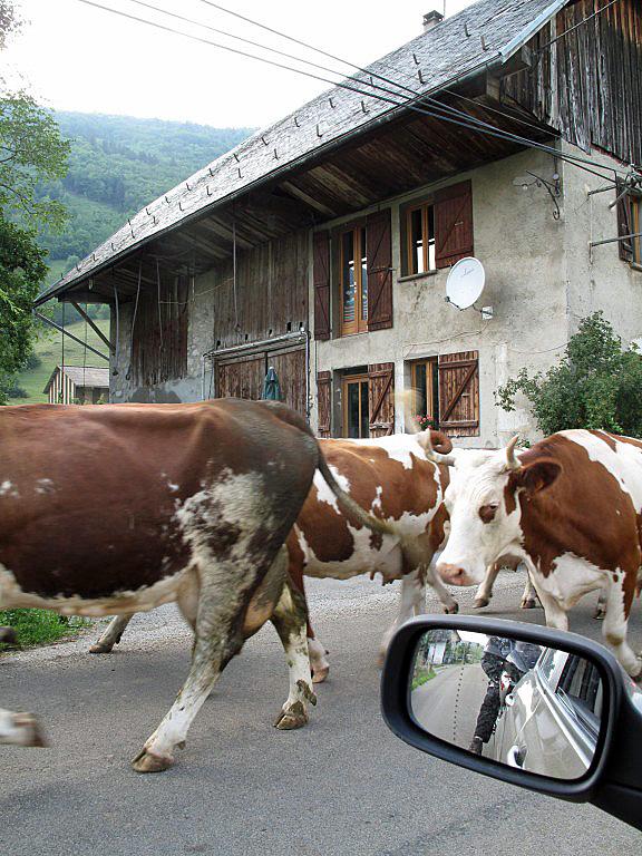 Les massacres du temps (rappel sans paroles). les-vaches-1280x768.1252162579.jpg