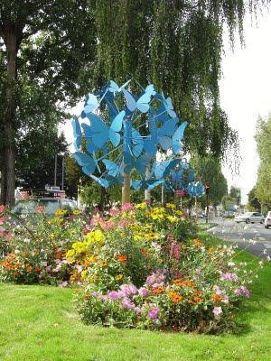 Fleurs de papillons Fleurs de papillons