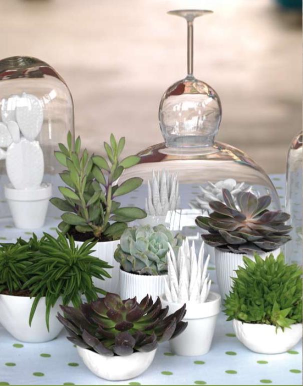green-attitude-plantes-dinterieur-version-200-l-1jpeg