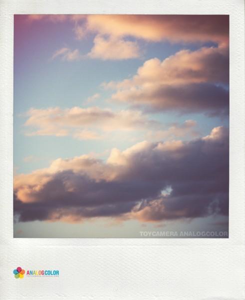 Polaroid et compagnie