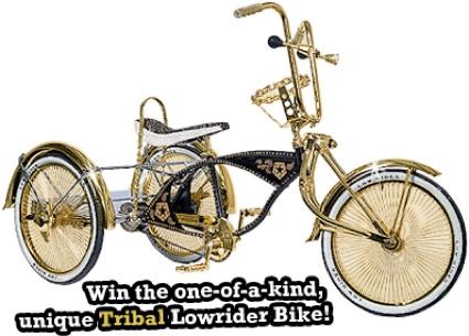 LowRider header_bike