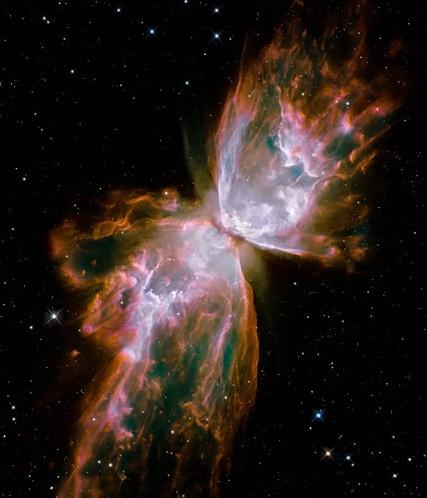 Butterfly Nebula 2009
