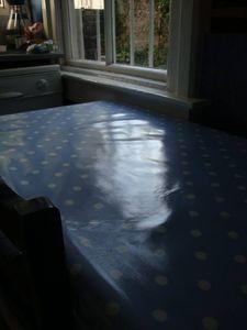 Petit bonheur de fin de semaine DSC08272