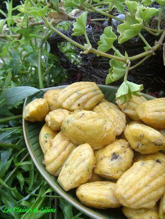 Madeleines aux Sardines ST834199