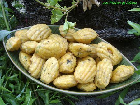 Madeleines aux Sardines ST834198