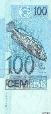 Pirarucu le plus gros poisson du monde