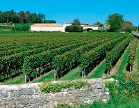 Une grande nouvelle au Château Angélus